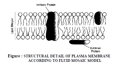 CBSE Class 9 Science The Cell Exam Notes