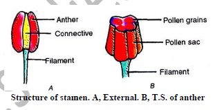 Class 10 Science Reproduction Exam Notes