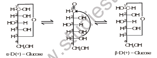 JEE-Mains-Chemistry-Carbohydrates-Aminoacids-and-Polymers-Notes 4