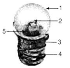 NCERT Exemplar Solutions Class 6 Science Light Shadows and Reflection-15