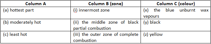 NCERT Exemplar Solutions Class 8 Science Combustion and Flame