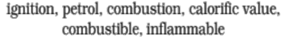 NCERT Exemplar Solutions Class 8 Science Combustion and Flame
