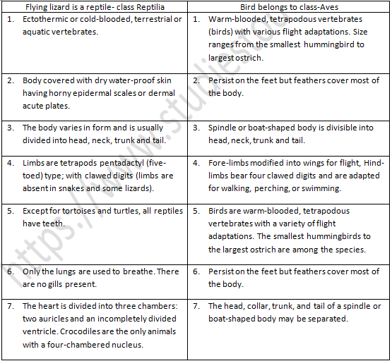 NCERT Exemplar Solutions Class 9 Science Diversity in Living Organisms
