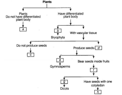 NCERT Exemplar Solutions Class 9 Science Diversity in Living Organisms