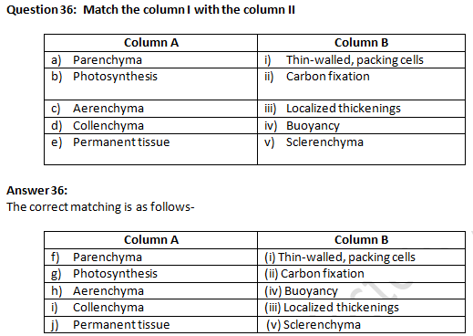 NCERT Exemplar Solutions Class 9 Science Tissues