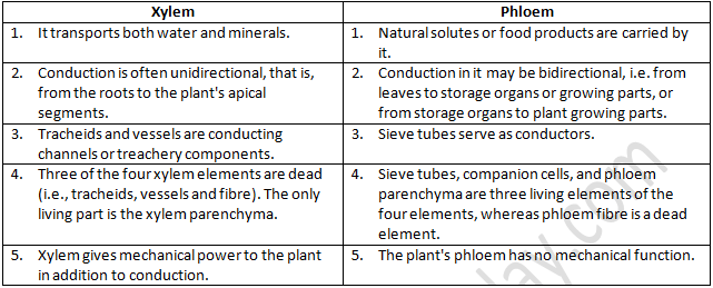 NCERT Exemplar Solutions Class 9 Science Tissues