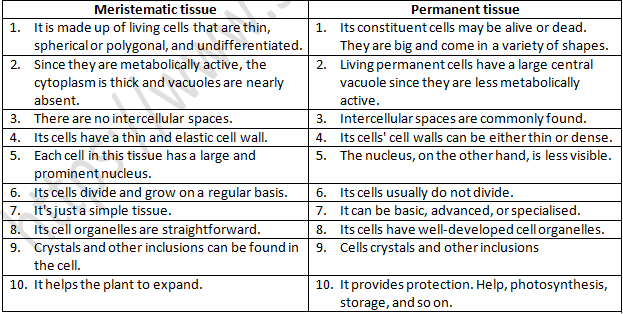 NCERT Exemplar Solutions Class 9 Science Tissues