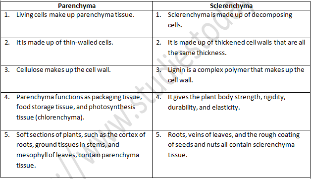 NCERT Exemplar Solutions Class 9 Science Tissues