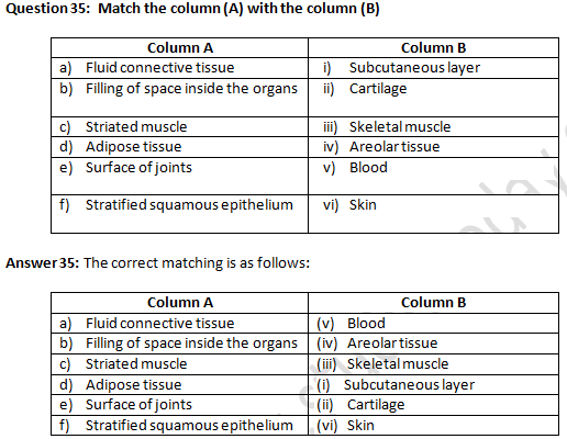 NCERT Exemplar Solutions Class 9 Science Tissues