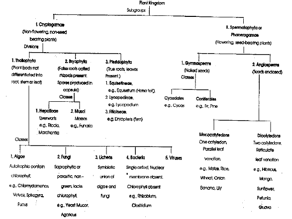 NEET-Biology-Diversity-in-the-Living-World-Revision-Notes_0 1