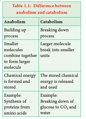 NEET-Botany-Diversity-of-Living-World-Chapter-Notes 3