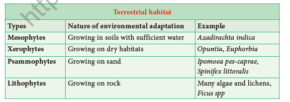 NEET-Botany-Plant-Morphology-and-Taxonomy-of-Angiosperm-Chapter-Notes 1