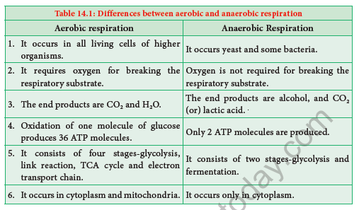 NEET-Botany-Respiration-Chapter-Notes 6