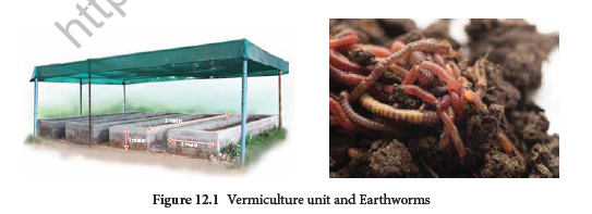 NEET-Botany-Zoology-Trends-in-Economic-Zoology-Chapter-Notes 2