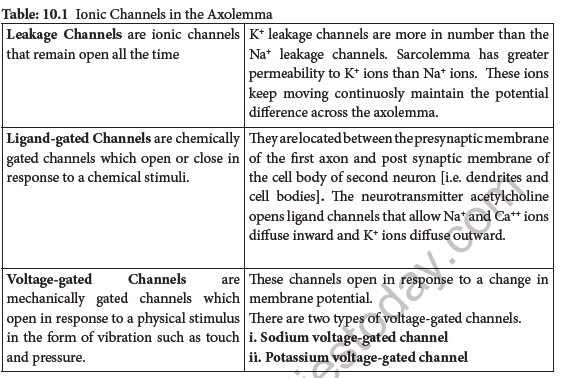 NEET-Zoology-Neural-Control-And-Coordination-Chapter-Notes 3