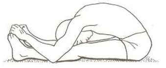 Notes CBSE Class 12 Physical Education Children and Sports