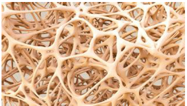 Notes CBSE Class 12 Physical Education Children and Sports