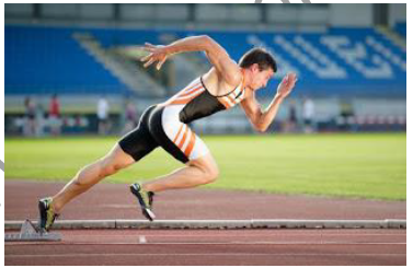 Notes CBSE Class 12 Physical Education Kinesiology Biomechanics and Sports