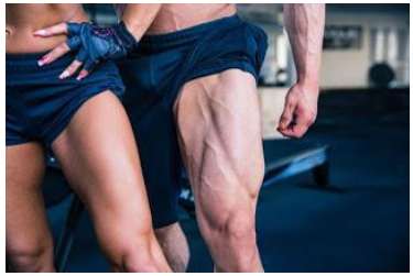 Notes CBSE Class 12 Physical Education Physiology and Sports