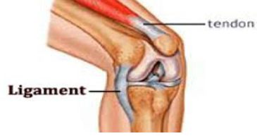 Notes CBSE Class 12 Physical Education Sports Medicine