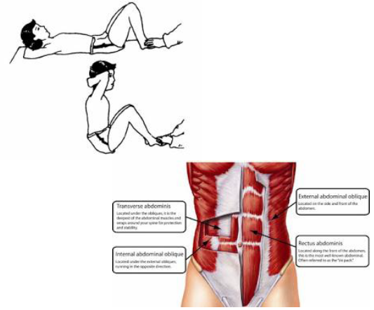 Notes CBSE Class 12 Physical Education Test and Measurement in Sports