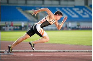 Notes CBSE Class 12 Physical Education Test and Measurement in Sports