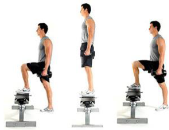 Notes CBSE Class 12 Physical Education Test and Measurement in Sports