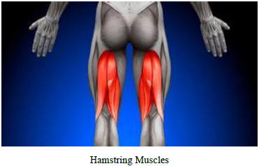 Notes CBSE Class 12 Physical Education Test and Measurement in Sports