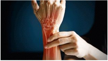 Notes CBSE Class 12 Physical Education Yoga and Lifestyle