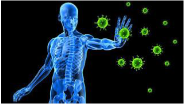 Notes CBSE Class 12 Physical Education Yoga and Lifestyle