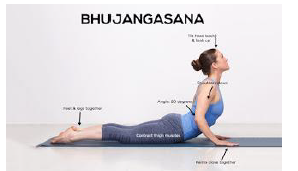 Notes CBSE Class 12 Physical Education Yoga and Lifestyle