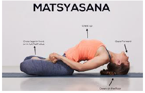 Notes CBSE Class 12 Physical Education Yoga and Lifestyle