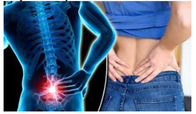 Notes CBSE Class 12 Physical Education Yoga and Lifestyle