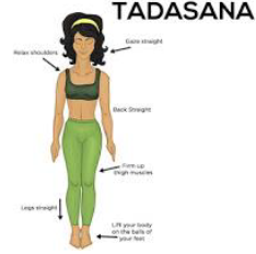 Notes CBSE Class 12 Physical Education Yoga and Lifestyle