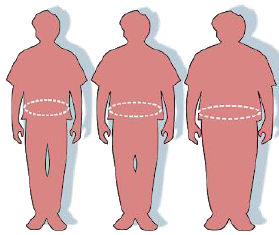 Notes CBSE Class 12 Physical Education Yoga and Lifestyle