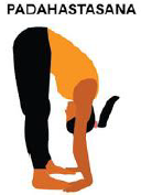 Notes CBSE Class 12 Physical Education Yoga and Lifestyle