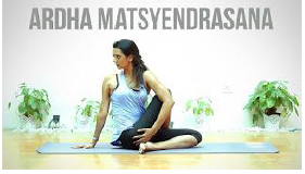 Notes CBSE Class 12 Physical Education Yoga and Lifestyle