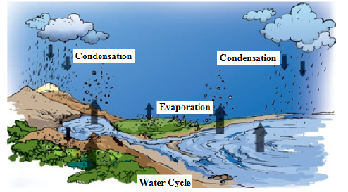 6th.sci.eng.Oct.Nov.21.22 3