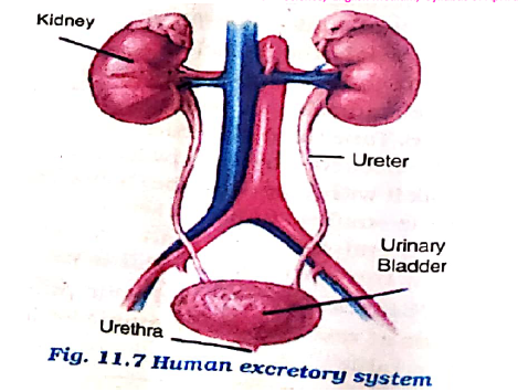 7th.sci.eng.Aprl.May.New 10