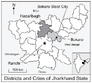 CBSE Class 10 Social Science Manufacturing Industries_9