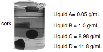 CBSE Class 7 Geography Environment Worksheet Set B