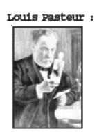 CBSE Class 8 Science Microorganism Friend And Foe Notes