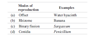 Reproduction in Organisms 5