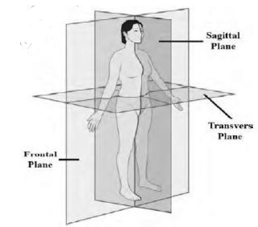 Class 12 Physical Education Biomechanics And Sports_1