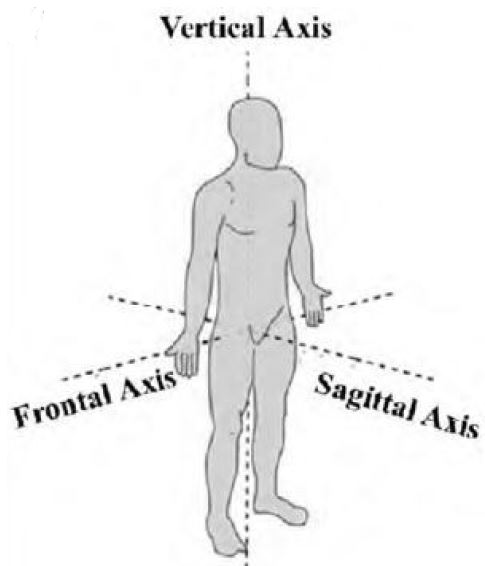 Class 12 Physical Education Biomechanics And Sports_2