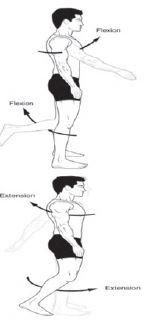 Class 12 Physical Education Biomechanics And Sports_4