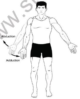Class 12 Physical Education Biomechanics And Sports_5