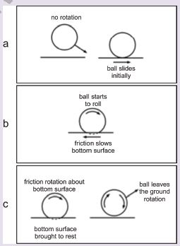 Class 12 Physical Education Biomechanics And Sports_8