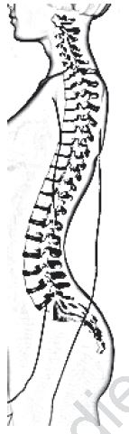 Class 12 Physical Education Children And Women In Sports_18