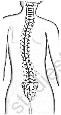 Class 12 Physical Education Children And Women In Sports_19